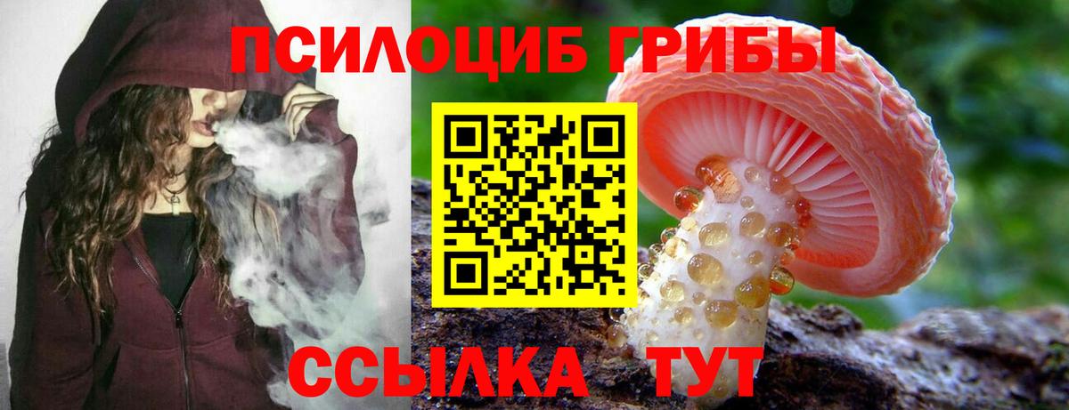 Псилоцибиновые грибы Magic Shrooms  Вход с VPN  Псилоцибиновые грибы мухоморы  Долгопрудный 