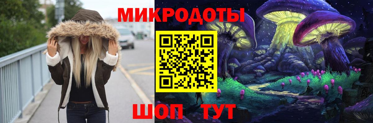 Галлюциногенные грибы Psilocybine cubensis Долгопрудный